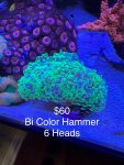IMG_3110.jpeg