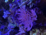 IMG_3113.jpeg