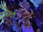 IMG_3114.jpeg