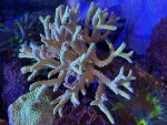 IMG_3116.jpeg