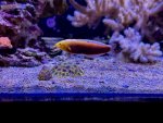 IMG_8860.jpg