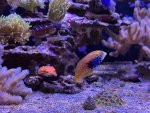 IMG_8876.JPG
