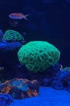 IMG_4683.jpeg