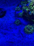 IMG_1417.jpg