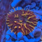 IMG_8843.jpeg