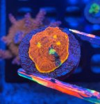 IMG_8853.jpeg
