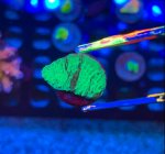 IMG_8864.jpeg