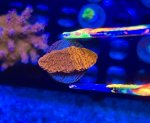 IMG_8865.jpeg