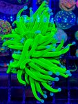 IMG_4468.jpeg