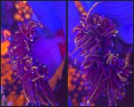 GridArt_20250129_201157124.jpg