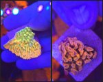 GridArt_20250129_201240478.jpg