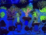 IMG_4895.jpeg