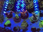 IMG_4892.jpeg