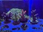 IMG_4891.jpeg