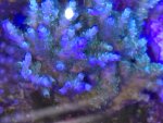 20250128_192741.jpg