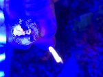 20250129_182809.jpg