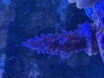 IMG_0547.jpeg
