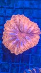 PXL_20250207_021932587.jpg