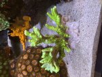 IMG_3613.jpeg