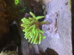 IMG_3609.jpeg