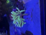 IMG_3602.jpeg
