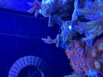 IMG_7847.jpeg