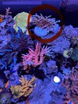 IMG_7873.jpeg