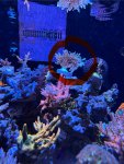 IMG_7869.jpeg