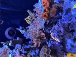 IMG_7870.jpeg