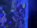 IMG_6600.jpeg
