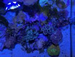 IMG_6598.jpeg