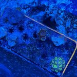 68978877-8E84-1DD4-047E-920260F1F8FF.jpg