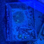 D9B848AE-4A86-133C-74B2-0283AC0B48B5.jpg