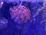 IMG_3269.jpeg
