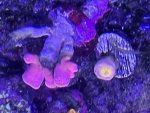 IMG_3268.jpeg