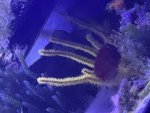 IMG_3234.jpeg