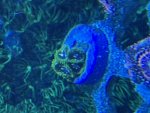 IMG_1770.jpeg