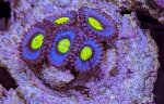 IMG_1761.jpeg