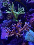 IMG_3674.jpeg