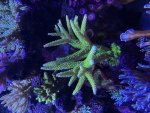 IMG_3673.jpeg