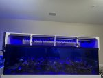 IMG_3351.jpeg