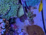 IMG_6781.jpeg