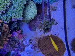 IMG_6779.jpeg