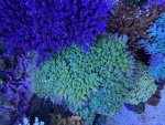 IMG_6764.jpeg