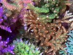 IMG_6338.jpeg