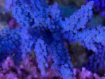 IMG_5601.jpeg