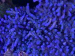 IMG_5607.jpeg