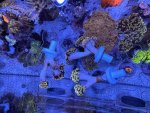 IMG_7910.jpeg
