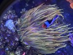IMG_5971.jpeg