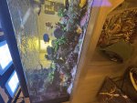 IMG_1922.jpeg